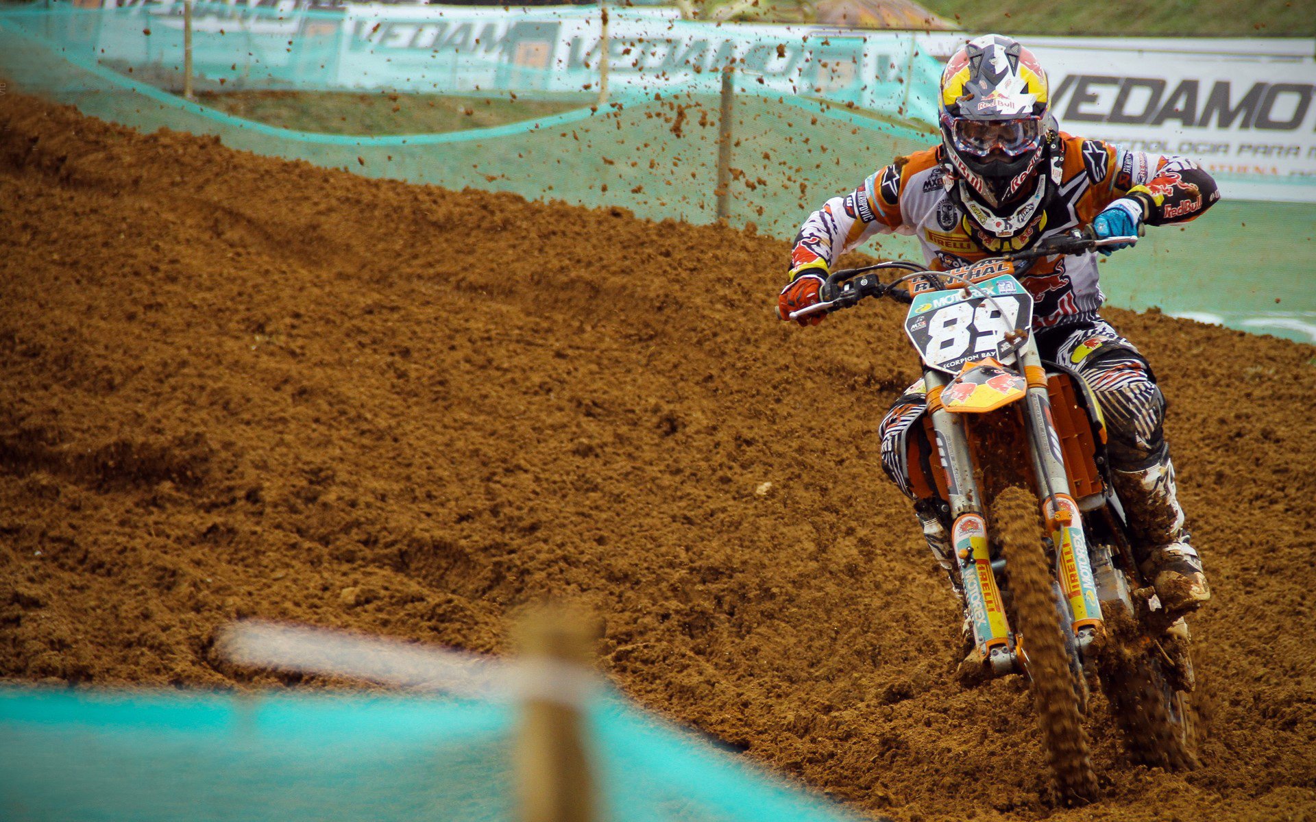 字母哥迎来七赛季高光表现，加拿大队球迷沸腾！